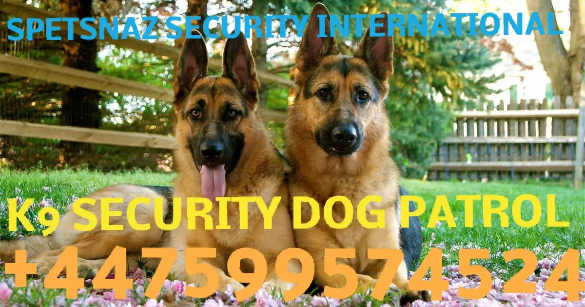 Security Patrol Dogs - Guard Dogs for Hire-Security Guard Dogs, Security Company-Dog Handler Security - Secure Site-Security Guard Dogs & Security Services -Security Dog Handlers London-London Detection Dogs | Sniffer Dogs | Canine Search-Feedback Explosive Detection Dogs | Sniffer Dogs | Specialist Security-Search Dogs & Sniffer Dogs London-Narcotics Search Dogs & Explosive Search Dog in London