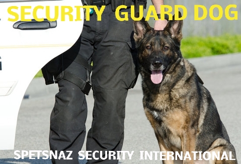 Armed-Close-Protection-Services-spetsnaz-security-international-limited-fidel-matola-worldwide-close-protection-bodyguard-services