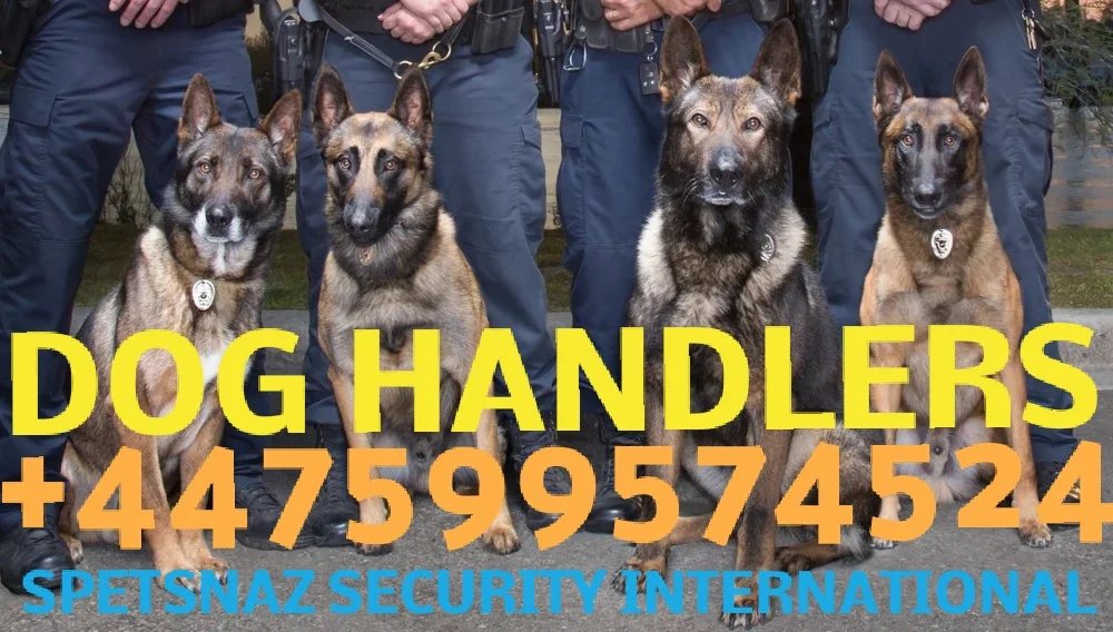  K9 Security Guard Dogs | Dog Security | London 